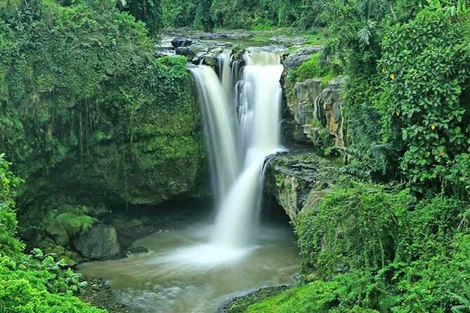 Bali Volcano & Ubud Day Tour – Temples, Rice Terraces & Lunch - Tirta Empul Temple: holy water purification, explained