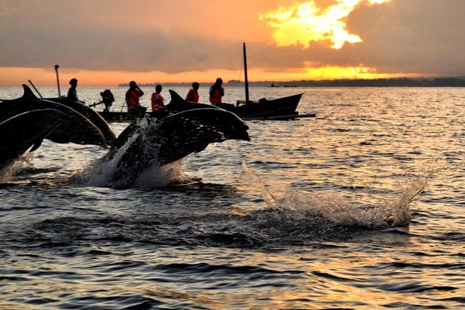 Bali Watching Dolphin at Lovina Beach & aling aling waterfall - Pricing and value: is $80 worth it?
