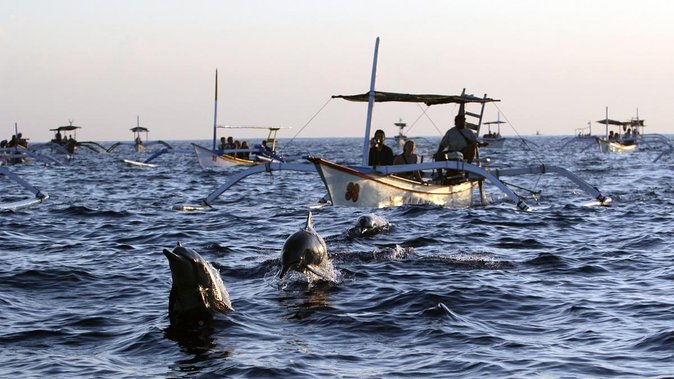 Bali Watching Dolphin at Lovina Beach & aling aling waterfall - The 3:30am sunrise start: why it matters in Lovina
