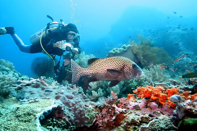 Bali Water Sport Jumbo Packages - Banana Boat and Flying Fish: Group-Friendly Water Fun