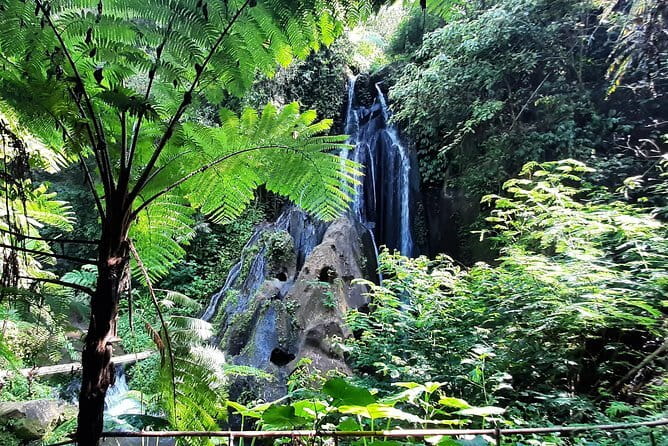 Bali Waterfall in One Day Tours, Hidden Waterfall - All Inclusive - Morning pickup, AC comfort, and the crowd-smart plan in Ubud