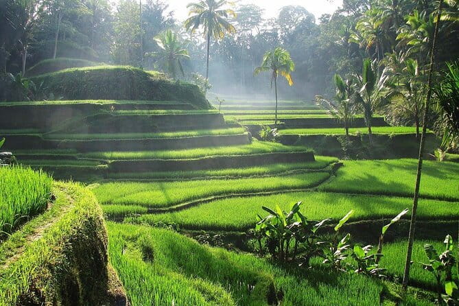 Bali Waterfall in One Day Tours, Hidden Waterfall - All Inclusive - Grudugan Waterfall: the Ubud-area option when you want variety