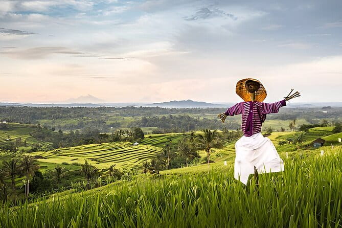 Bali Waterfall Wonders | A Nature Escape | All Inclusive - Ubud pickup and smooth transport between stops