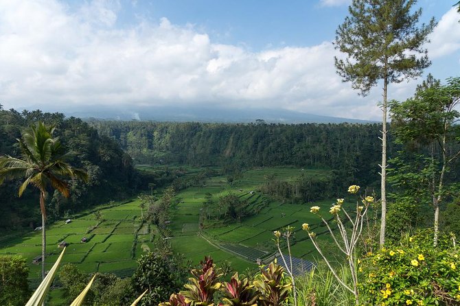 Bali Waterfalls and Temples Tour - Besakih Temple: Bali’s biggest Hindu complex, with room to understand it