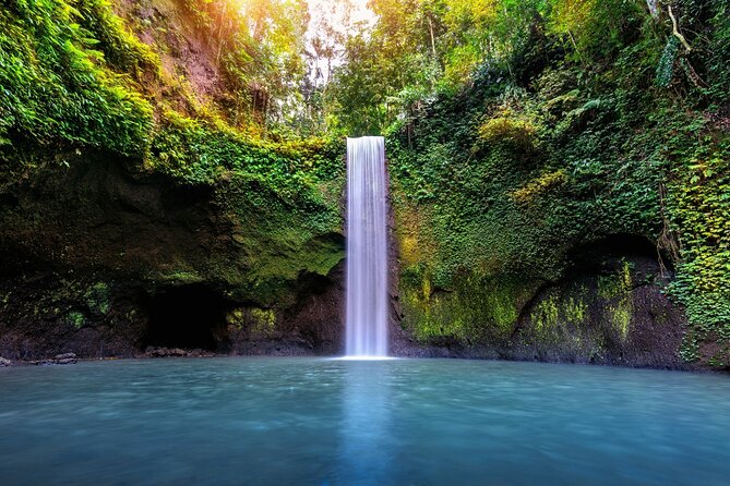 Bali Waterfalls Private Day Tour - Price and value: is $43.58 a smart deal?