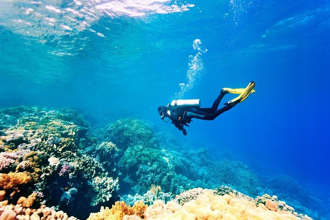 Bali Watersport Activities - Great Discount Package - Driver and Logistics: Why the Start Time Sets the Mood