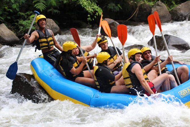 Bali White-Water Rafting Adventure - Who this tour suits best in Bali (and who should skip it)
