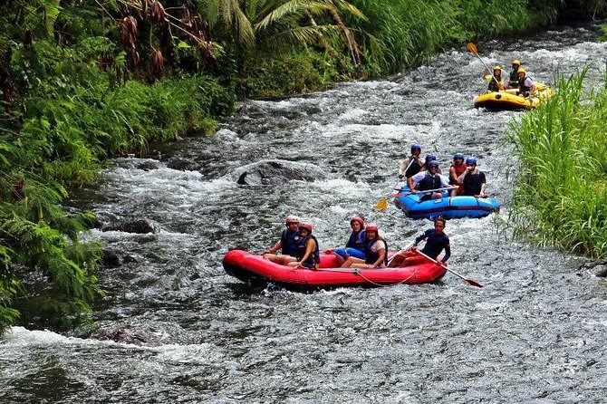 Bali White Water Rafting at Telaga Waja River - Telaga Waja River Rapids: Class III–IV in Plain English