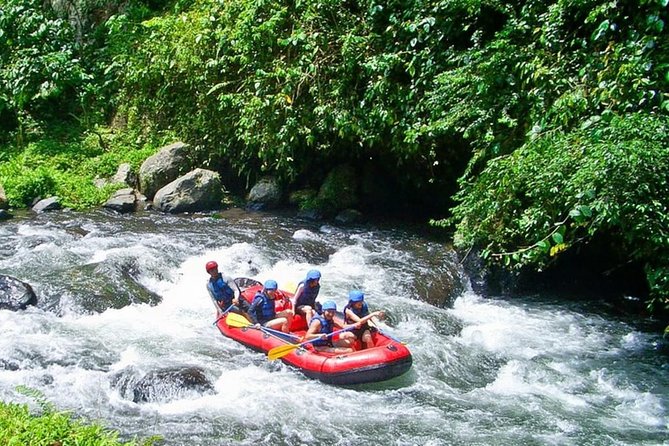 Bali White Water Rafting at Telaga Waja River - Difficulty Level: Who Should Go, Who Should Think Twice