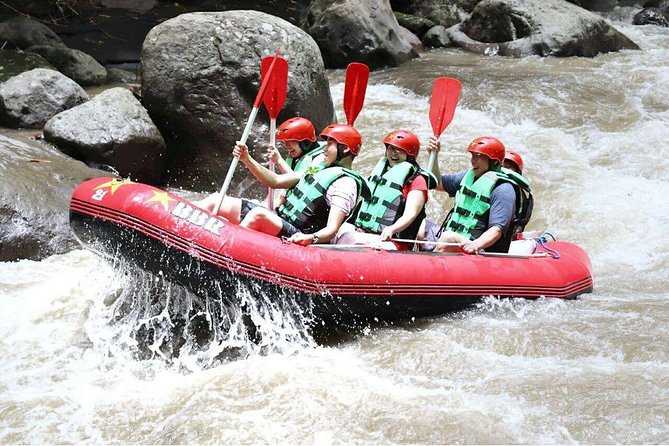 Bali White Water Rafting - Infinity - On the water: waterfalls, wildlife, hidden drops, and swim stops