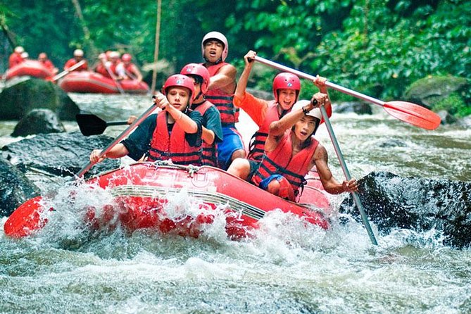 Bali White Water Rafting on Ayung River with Lunch - On the Water: Waterfalls, Rainforest, Shrines, and Bamboo Bridges