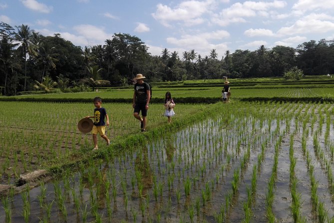 Balinese Cooking Class at Organic Farm - From Ubud Pickup to Mai Organic Farm in Pejeng