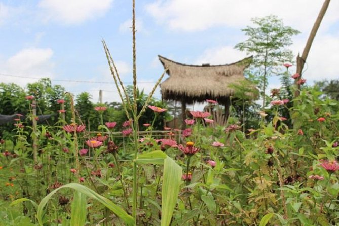 Balinese Cooking Class at Organic Farm - Picking Ingredients: Where the Class Becomes Truly Yours