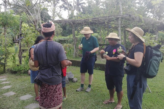 Balinese Cooking Class at Organic Farm - The Drink Lineup: Infused Water, Herbal Sips, Coffee, and Lemongrass Tea