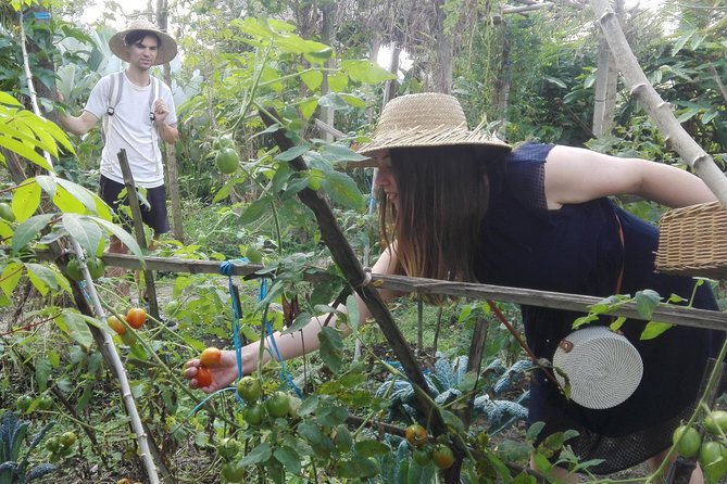 Balinese Cooking Class at Organic Farm - How Much It Costs (and Why $40 Feels Fair Here)