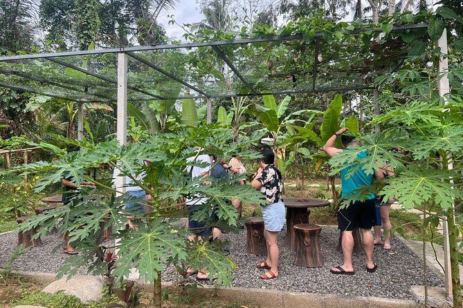Balinese Cooking Class with Traditional Market Tour - Cooking in a traditional open kitchen: 5 dishes plus dessert, made by you