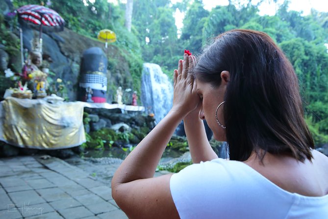 Balinese Village Experience - Key highlights you’ll care about