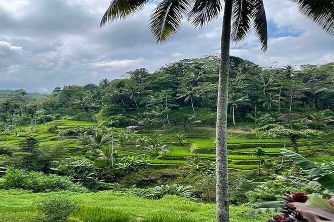 Banyumala Waterfall, Jatiluwih, Ulun Danu and Tanah Lot tours - Tanah Lot Temple: When the Sea Owns the Rocks