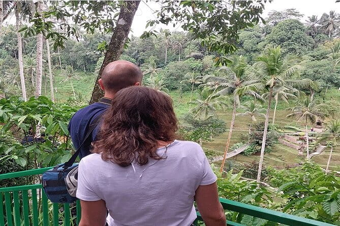 Banyumala Waterfall, Jatiluwih, Ulun Danu and Tanah Lot tours - Buyan and Tanblingan Lakes at Wanagiri Gobleg