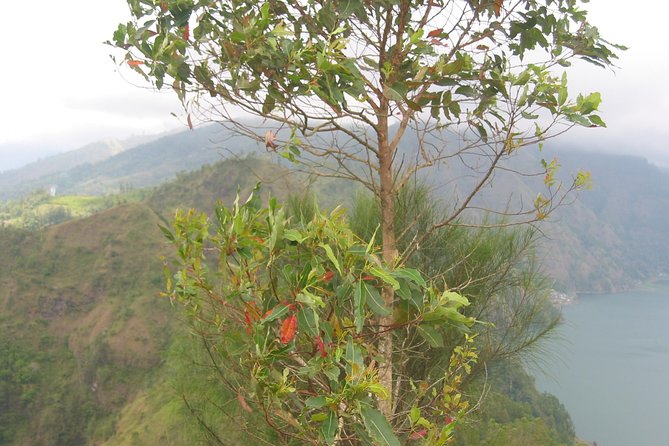 Batur Caldera Sunrise Trekking - Sunrise on the caldera top: tea, coffee, and breakfast with a view