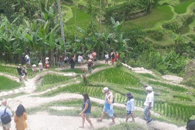 Batur Volcano Sunrise Trekking, Rice Teracce & Bali Coffee Plantation Tour - Breakfast at the meeting point: small, important, and included