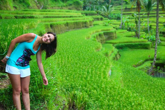 Beauty Of West Bali Tour (Private and All Inclusive) - Quick take: West Bali temples and terraces, packed into ~10 hours