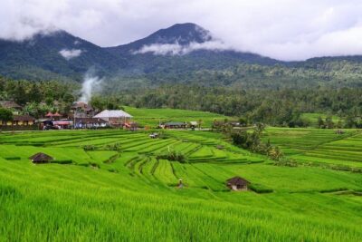 Beauty Of West Bali Tour (Private and All Inclusive) - Stop 1: Jatiluwih Green Land and the Jatiluwih rice terraces