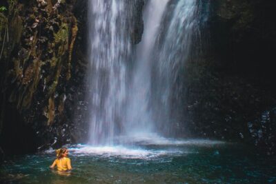 Bedugul and Singaraja Tour - North Bali Road Trip: Expect the Scenic Altitude Shift