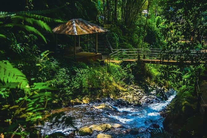 Bedugul and Singaraja Tour - Lovina Coast: Black Sand Pass-Through and a Lunch You Choose