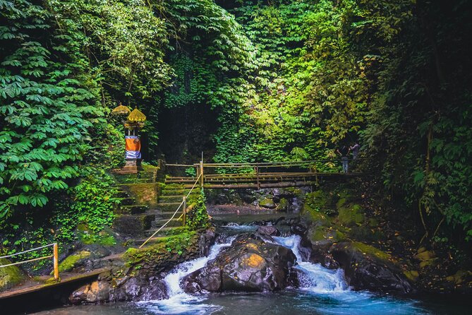 Bedugul and Singaraja Tour - Git Git Waterfall: Rainforest Walk, Steps, and Wet Weather Reality