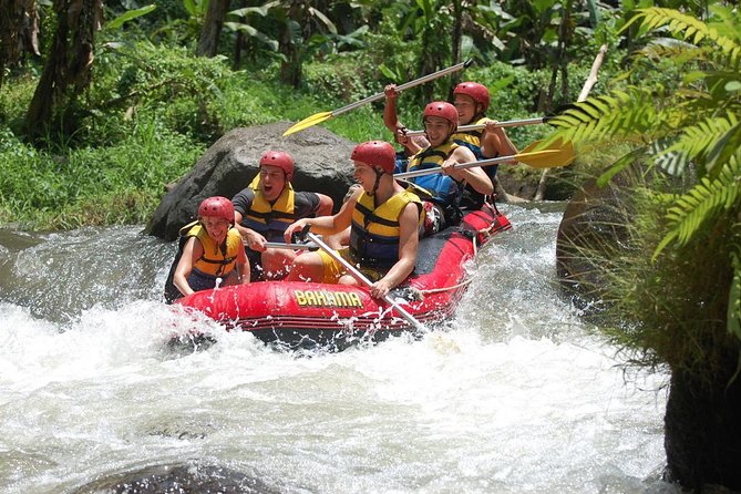 Best Bali Ayung River Rafting with Lunch - The Pre-Raft Walk: Rice Fields and Tropical Forest Footsteps