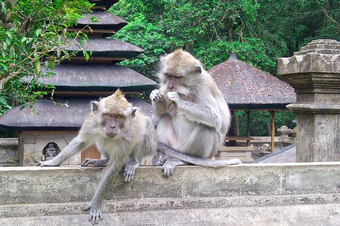 Best Bali Package Tour: 4 Days with Airport or Hotel Transfer - Price and what you truly get for $197 per person