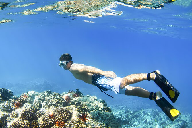 Best Bali Snorkeling at Blue Lagoon Beach: All-Inclusive - Gear, boat transfers, and a real snorkeling instructor