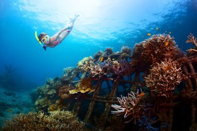 Best Bali Snorkeling at Blue Lagoon Beach: All-Inclusive - Private pickup and drop-off from Seminyak and more