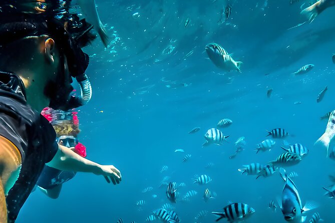 Best Bali Snorkeling at Blue Lagoon Beach: All-Inclusive - Lunch, dress code, and the little details that keep it pleasant