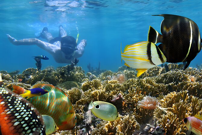 Best Bali Snorkeling at Blue Lagoon Beach: All-Inclusive - Price and value: What $60 covers (and why it can be fair)