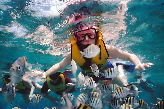 Best Bali Snorkeling at Blue Lagoon Beach: All-Inclusive - Who should book this snorkeling tour, and who might not