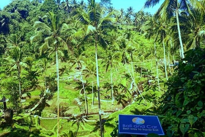 Best bali transport service - custom your own itinerary - Who should book this private Bali car service (and who shouldn’t)