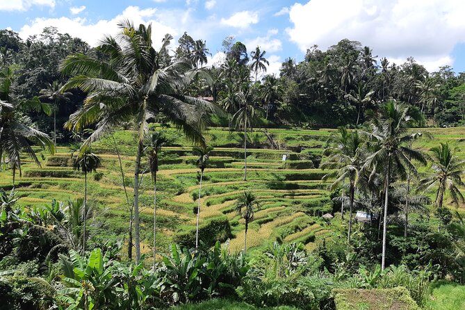 Best Bali Ubud Full Day All-Inclusive Private Tour - Why this Ubud private tour is good value for a packed day