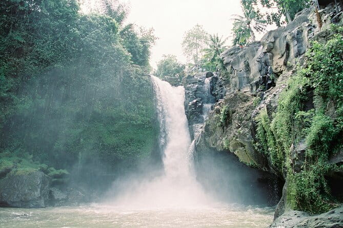 Best Day Tour - #3 World Cleanest Traditional Village - Kuta to Ubud: what an 8–11 hour private day really means