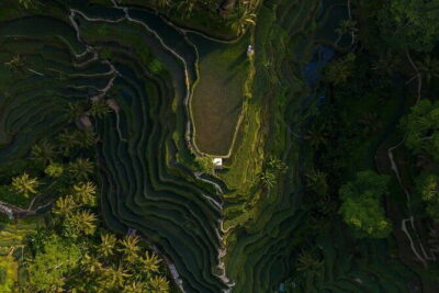 Best Day Tour - #3 World Cleanest Traditional Village - Tegenungan Waterfall: a classic view with an easy approach