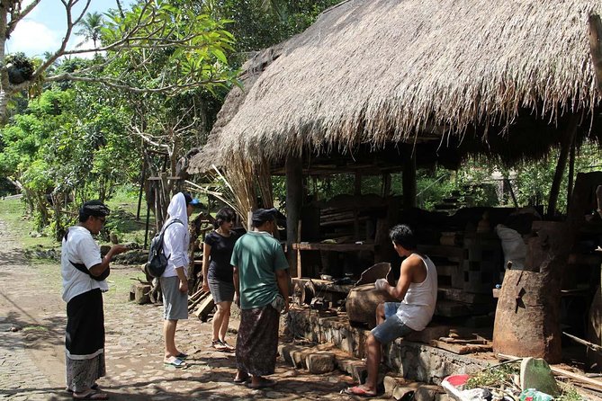 Best East Bali Tour - Your driver: English help, patience, and day-long flexibility