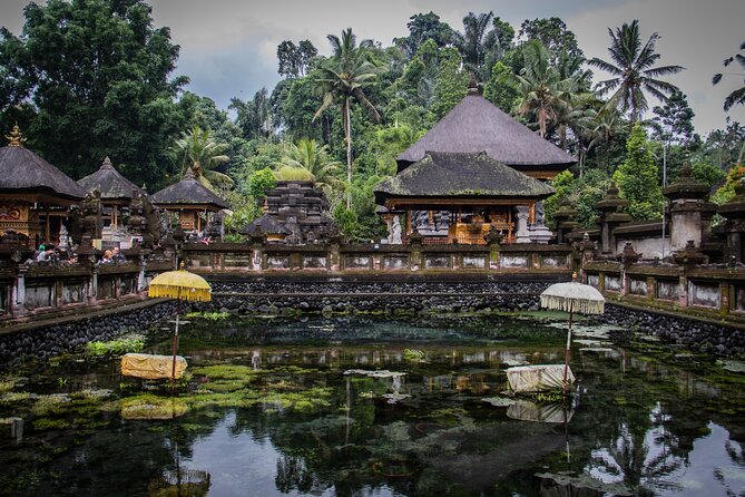 Best of Bali : Bali Temples , Rice Terrace and Waterfall Tour - Stop 4: Tegalalang Rice Terrace (Coconut Views You’ll Actually Use)