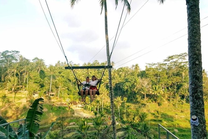 Best of Bali Jungle Swing with Ubud Sightseeing Tour - Private driver-guide: pace, safety, and the small helpful things