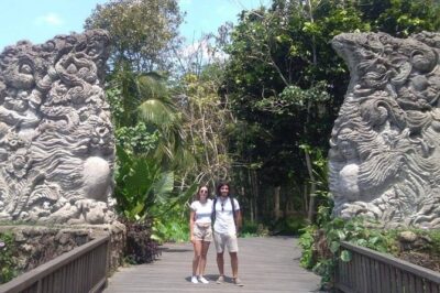 Best of Bali Jungle Swing with Ubud Sightseeing Tour - Price and value: What your $60.33 covers
