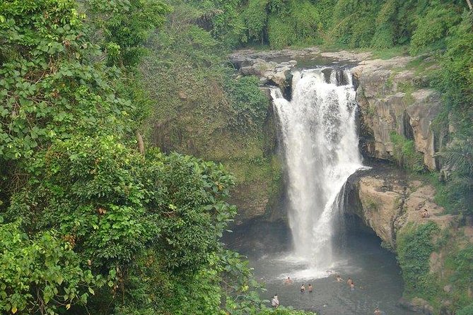Best of Bali Jungle Swing with Ubud Sightseeing Tour - FAQ