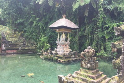 Best of Bali Private Shore Excursions - Meeting at Benoa Harbour: The 8:00am Pace That Makes or Breaks the Day