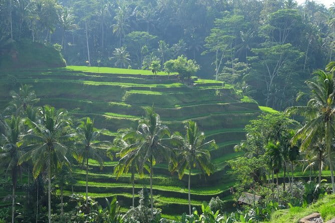 Best of Bali Private Shore Excursions - Gunung Kawi Sebatu Spring Holy Water: When the Temple Is About Purification