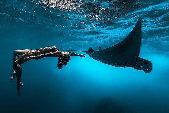 Best of Bali Private Shore Excursions - Who This Tour Fits Best (and Who Might Prefer Something Else)