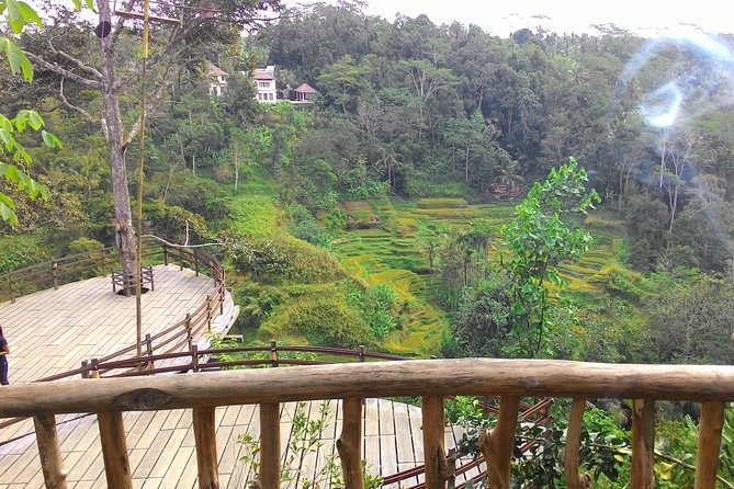 Best of Bali : Ubud, Rice terrace, Tanah lot temple with Lunch - A One-Day Bali Highlights Route from Kuta